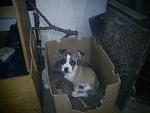     
: DSC00584.jpg
: 15
:	89.2 
ID:	12481870