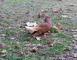     
: IMG_20171221_130117.jpg
: 3
:	153.3 
ID:	12482190