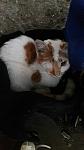     
: IMG-1247ca1b10185453f7aa358eb50d463e-V.jpg
: 14
:	51.3 
ID:	12482548