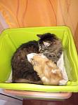     
: P71223-195512.jpg
: 32
:	75.4 
ID:	12484297