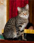     
: Кузя Олин.jpg
: 13
:	40.2 
ID:	12484990