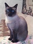    
: IMG_20171202_135550.jpg
: 10
:	95.5 
ID:	12486750