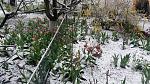     
: 20170420_191508.jpg
: 31
:	214.9 
ID:	12486838