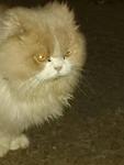     
: IMG-405093e5fe457b23096244b70eef87b4-V.jpg
: 5
:	42.8 
ID:	12489992