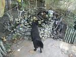     
: DSC00027.jpg
: 10
:	274.2 
ID:	12490900