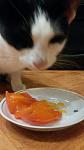     
: 20171221_065751.jpg
: 38
:	58.7 
ID:	12491250
