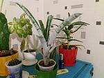     
: 20171228_222205.jpg
: 28
:	114.3 
ID:	12491306