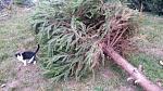     
: _20161224_160340.jpg
: 25
:	159.8 
ID:	12491527