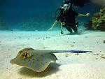     
: DSC09841.jpg
: 35
:	118.6 
ID:	12491557