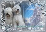     
: VipTalisman23.jpg
: 23
:	167.2 
ID:	12491870