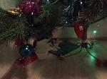     
: B037A4CF-66B6-472B-BE38-5AC82D2C1914.jpg
: 3
:	102.7 
ID:	12492541