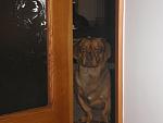     
: P1010042.jpg
: 14
:	77.3 
ID:	1249261