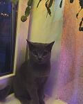     
: IMG_6089.jpg
: 53
:	85.5 
ID:	12492719