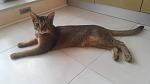     
: 20171123_102255.jpg
: 80
:	62.5 
ID:	12492760