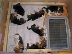    
: IMG_8160.jpg
: 8
:	125.7 
ID:	12496373