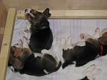     
: IMG_8159.jpg
: 10
:	79.6 
ID:	12496376