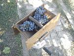     
: DSC00052.jpg
: 13
:	280.0 
ID:	12496921