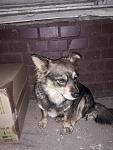     
: IMG-b5786ce5d2bb0a809aeab35f66da8273-V.jpg
: 8
:	94.6 
ID:	12499708