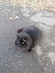     
: IMG-20180107-WA0002.jpg
: 9
:	146.0 
ID:	12499997