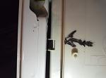     
: P80110-003314.jpg
: 10
:	57.6 
ID:	12502871