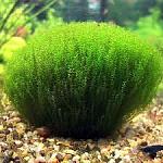     
: images.jpg
: 13
:	11.4 
ID:	12503120