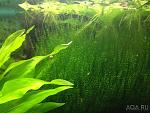     
: aqa.ru-20140515115257.JPG
: 9
:	110.7 
ID:	12503122