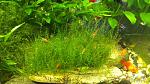     
: aqa.ru-20130305141336.jpg
: 10
:	124.8 
ID:	12503124