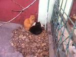     
: IMG_0637.jpg
: 32
:	127.3 
ID:	12507633