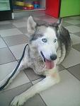     
: image.jpg
: 11
:	45.8 
ID:	12507709