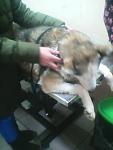     
: image (1).jpg
: 16
:	37.3 
ID:	12507710