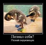     
: post-3-12492955693617.jpg
: 124
:	47.0 
ID:	1250809