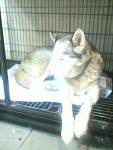     
: image (24).jpg
: 8
:	46.1 
ID:	12508910