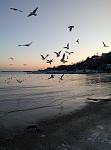     
: P80115-162101.jpg
: 22
:	84.8 
ID:	12511700