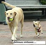     
: chih.jpg
: 29
:	26.7 
ID:	1251181