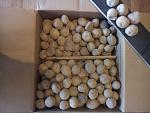     
: IMG_20180106_101511.jpg
: 26
:	128.4 
ID:	12512067