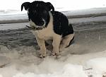     
: IMG_2399.jpg
: 7
:	37.8 
ID:	12512292