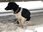     
: IMG_2398.jpeg
: 9
:	101.3 
ID:	12512293