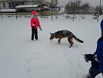     
: 20180116_095252.jpg
: 10
:	106.6 
ID:	12513429