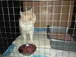     
: IMG_20180116_104616.jpg
: 21
:	154.1 
ID:	12513645