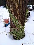     
: IMG_20180117_161709.jpg
: 15
:	261.7 
ID:	12514917