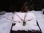     
: IMG_20180117_162051.jpg
: 14
:	100.0 
ID:	12516641