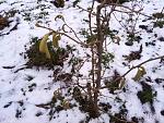     
: IMG_20180120_122106.jpg
: 11
:	154.2 
ID:	12518481