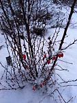     
: IMG_20180119_110221.jpg
: 14
:	283.6 
ID:	12519331