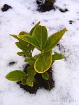     
: IMG_20180120_121804.jpg
: 14
:	166.7 
ID:	12519332