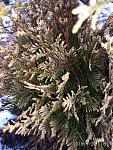     
: IMG_20180120_113130.jpg
: 13
:	187.5 
ID:	12519334