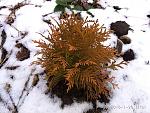     
: IMG_20180120_113200.jpg
: 15
:	278.8 
ID:	12519337