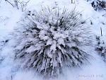     
: IMG_20180119_110501.jpg
: 15
:	255.5 
ID:	12519338