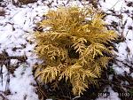     
: IMG_20180120_113017.jpg
: 13
:	169.3 
ID:	12519340