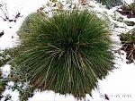     
: IMG_20180120_124627.jpg
: 13
:	169.3 
ID:	12519341