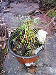    
: IMG_20180120_112000.jpg
: 14
:	287.2 
ID:	12519342